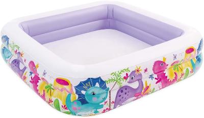 Intex Sunshade  Pool