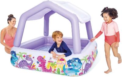 Intex Sunshade  Pool