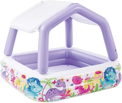 Intex Sunshade  Pool