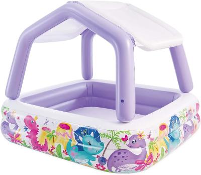 Intex Sunshade  Pool