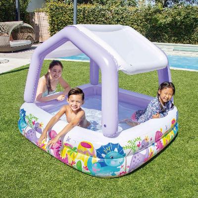 Intex Sunshade  Pool