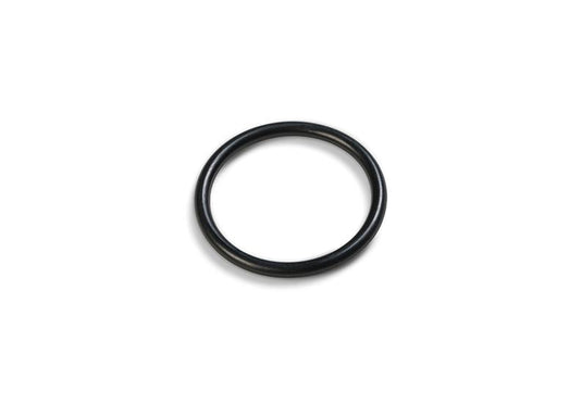 Intex O-Ring A