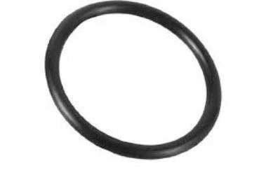 Intex Hose O-Ring (5F11)